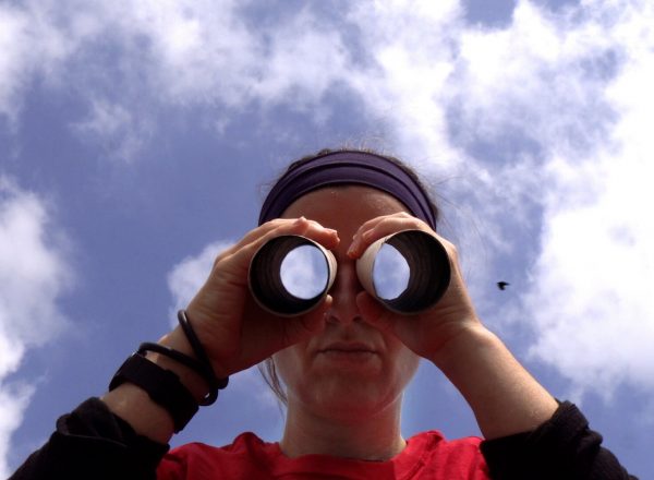 3 Oe W 3cm of Complexity still 02