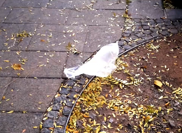 Sac en Plastique Stefanie Weberhofer